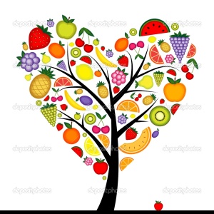 depositphotos_4848598-Energy-fruit-tree-heart-shape-for-your-design-